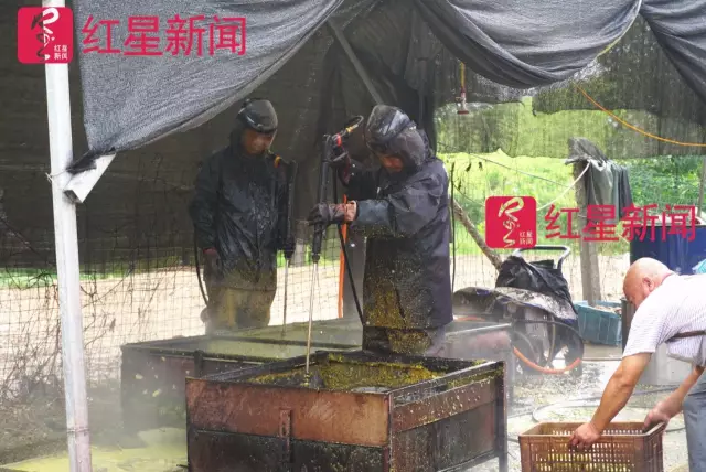 文玩核桃遇冷由幾萬(wàn)一對(duì)降到5元沒(méi)人要？商戶否認(rèn)