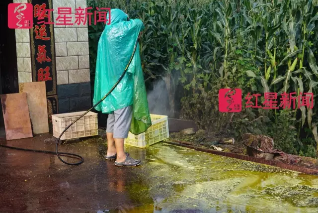 文玩核桃遇冷由幾萬(wàn)一對(duì)降到5元沒(méi)人要？商戶否認(rèn)