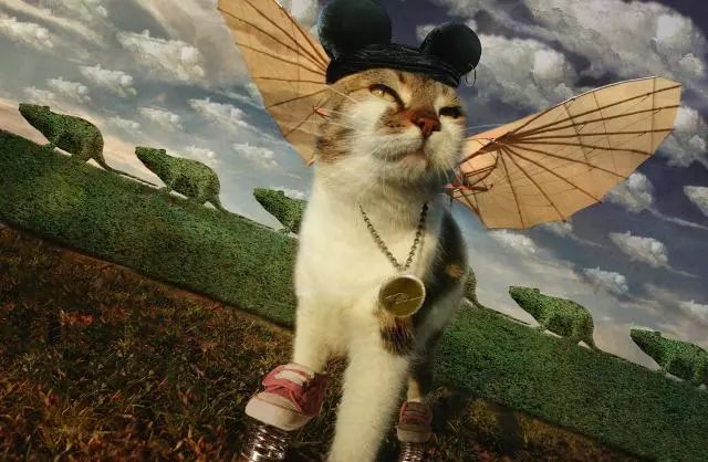 一只虛擬寵物貓叫價(jià)13億元？云養(yǎng)貓成真