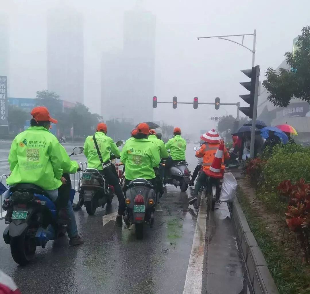 出門打驢？ 南寧“滴滴打驢”被緊急叫停