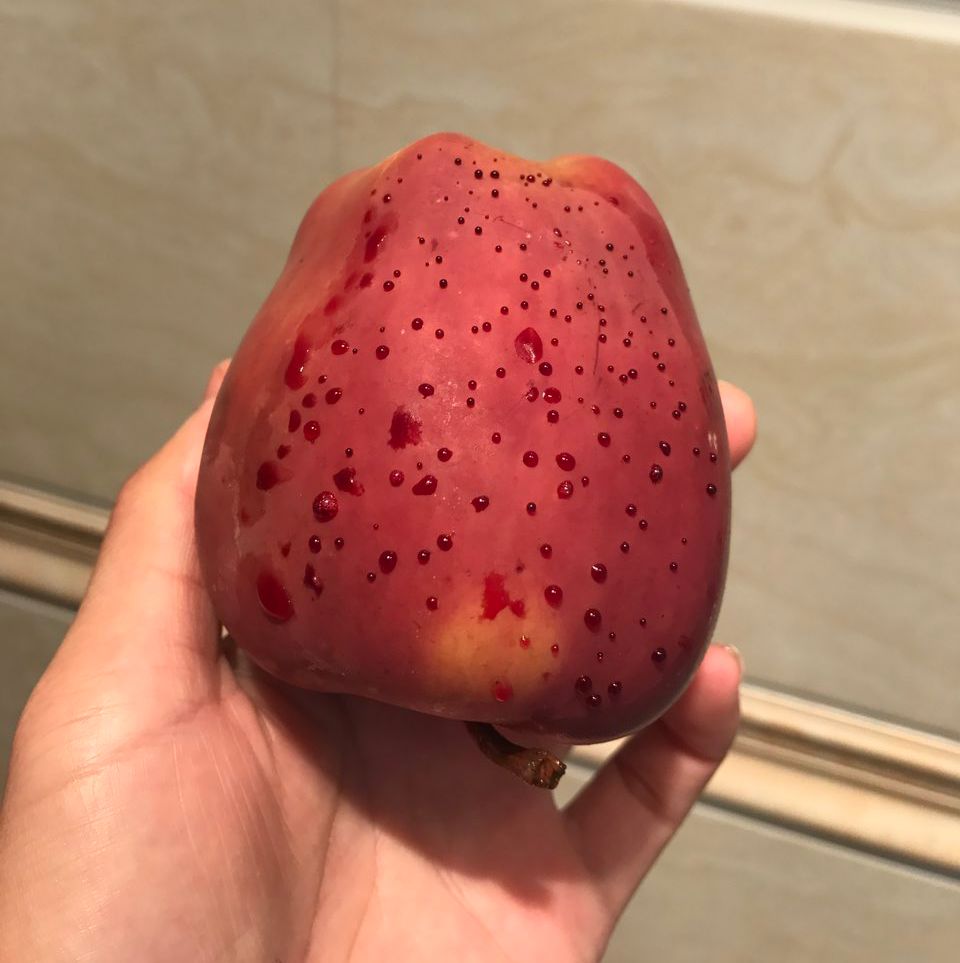 嚇懵！女子用熱水泡蘋果結(jié)果冒出血珠 咋回事？