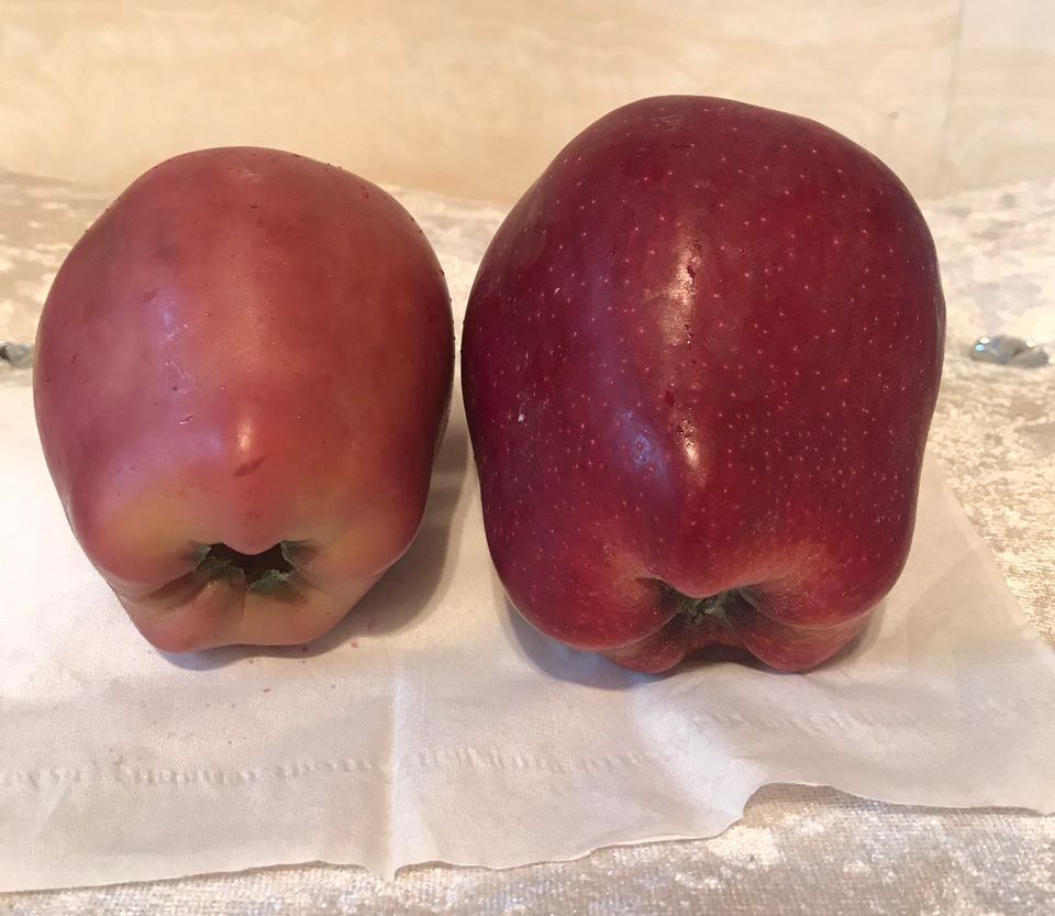 嚇懵！女子用熱水泡蘋果結(jié)果冒出血珠 咋回事？