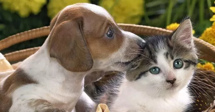 可憐！12歲女孩右眼完全失明 只因平時(shí)有這愛(ài)好