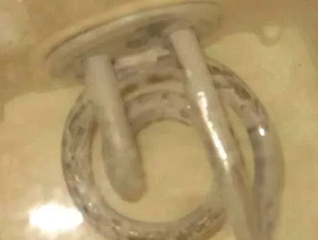 太惡心！女游客竟用酒店燒水壺煮自己的臟內(nèi)褲