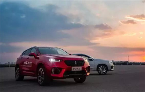 去年“蹦”出來(lái)的新汽車品牌們，現(xiàn)在活得怎么樣了？