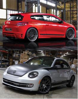 尚酷、甲殼蟲(chóng)