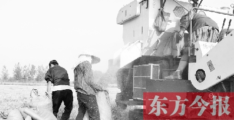 李正厚的妻子鮑本華（右）和一位村民拎著麻袋來到收割機前，接住傾倒出來的麥粒