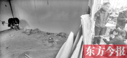 12月4日，鄭州市未來路與隴海路交叉口西側(cè)，執(zhí)法人員用吹管麻醉針對付一只藏獒