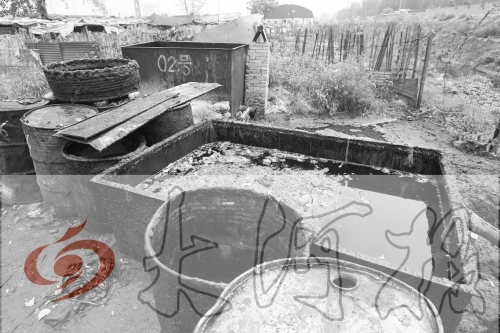 　　骯臟、令人作嘔的油桶凌亂地?cái)[放在院子里，為了避免視覺刺激，我們把它做成了黑白圖片。