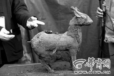 一件似羊似鹿的犧尊華麗亮相，可愛(ài)的造型“萌翻”現(xiàn)場(chǎng)。