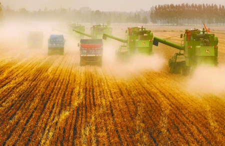 田里，一臺臺收割機唱著豐收歌。