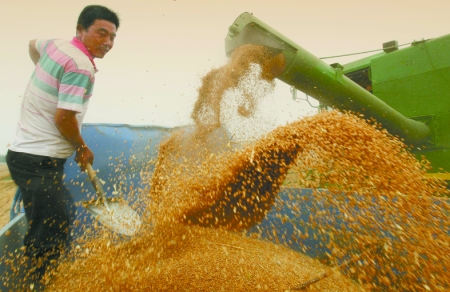 心情喜悅麥龍舞。