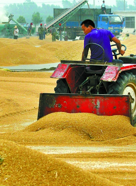 精心晾曬，散倉入庫。