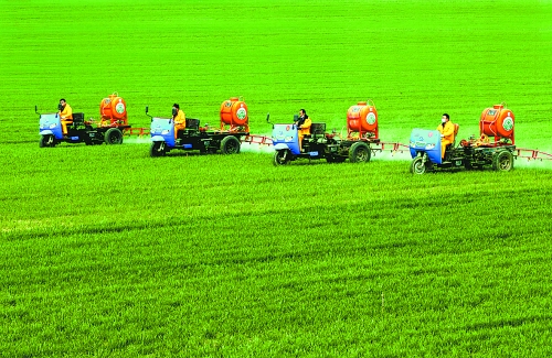 車載噴霧機(jī)奔駛在萬(wàn)畝高產(chǎn)田里。