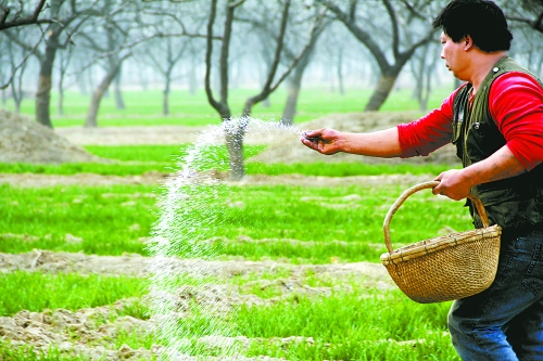 3月18日，內(nèi)黃縣城關(guān)鎮(zhèn)農(nóng)民在給小麥?zhǔn)┓省Ｑ巯抡嵌←湻登嗟年P(guān)鍵時期，內(nèi)黃縣廣大農(nóng)民積極開展以澆水