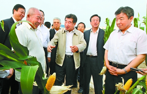 圖為回良玉在鄧州市腰店鄉(xiāng)草寺村視察萬畝玉米高產(chǎn)示范方。