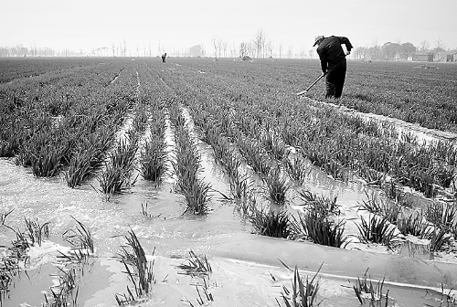 3月25日，濮陽縣郎中鄉(xiāng)大趙寨村農(nóng)民在為小麥澆水。連日來，濮陽縣廣大農(nóng)民不誤農(nóng)時(shí)，及時(shí)為麥田施肥、澆