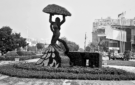 8月28日，南陽街頭繁花似錦，市民宛若行走在花海之中。