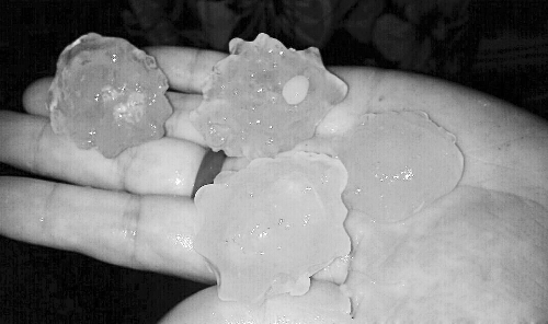 昨天凌晨，三門峽下起了冰雹，最大直徑近1厘米 微博截圖