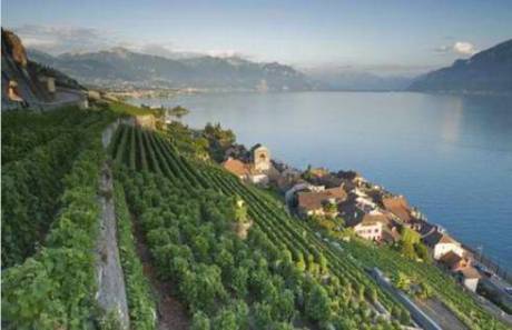 盤點(diǎn)幸福感最高的國家地區(qū)