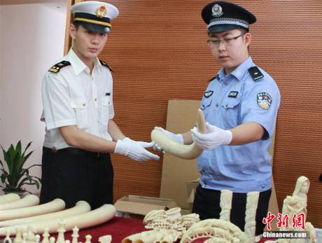 寧波海關(guān)查獲走私珍貴動(dòng)物制品