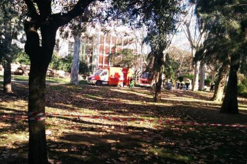 西班牙男子跳進(jìn)動(dòng)物園獅子山