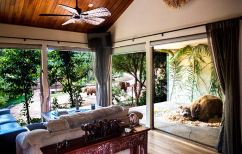 澳洲動(dòng)物園中開(kāi)旅館 親密接觸野生動(dòng)物