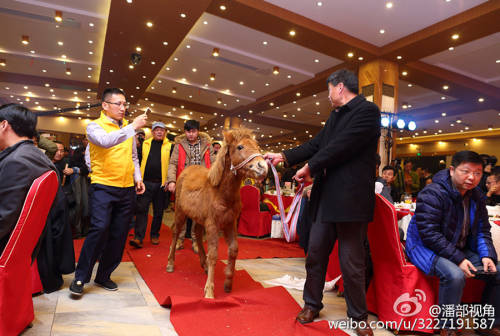 江蘇一公司奇葩年會：當(dāng)場領(lǐng)牲畜