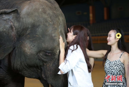 學生參加?；ㄐ２荽筚?穿比基尼秀身材