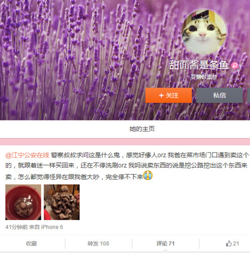 “你爸買(mǎi)的是街頭古董詐騙爆款”