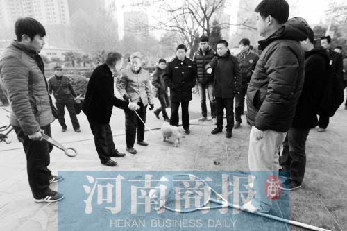 一只辦過(guò)狗證的小白狗，因?yàn)闆](méi)有拴犬鏈，被執(zhí)法人員暫扣