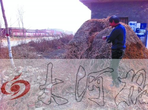 張哥、張弟就是在這兒撿到的投毒面包。