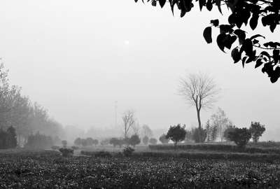 3月26日上午8點(diǎn),鄭大新校區(qū),濃濃的霧霾埋沒了大好春景。