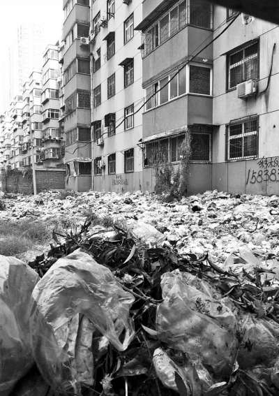 透過擋板縫向內(nèi)看，30多米垃圾已經(jīng)將居民樓包圍。