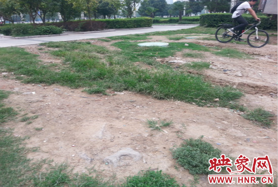 公園內(nèi)大片草坪遭到破壞。