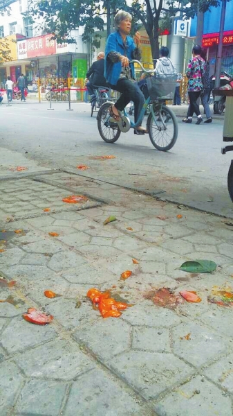 爛了一地的柿子影響市容，還常?；谷恕? width=