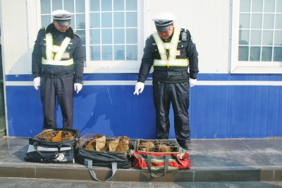 民警查獲的乘客行李包中，裝的全是獼猴。