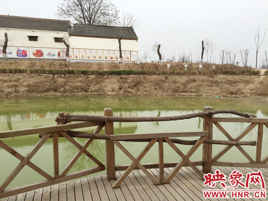 護(hù)欄損毀的地方，已經(jīng)被兩根樹干擋住。