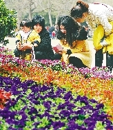 近距離才能拍得更真切。