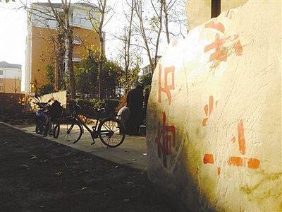 昨日，“上海奇石盆景博物館”原址上，已矗立起小區(qū)樓盤(pán)，而刻著博物館名的巨石，廢棄在一旁。本版圖片/新京報(bào)記者 張永生 攝