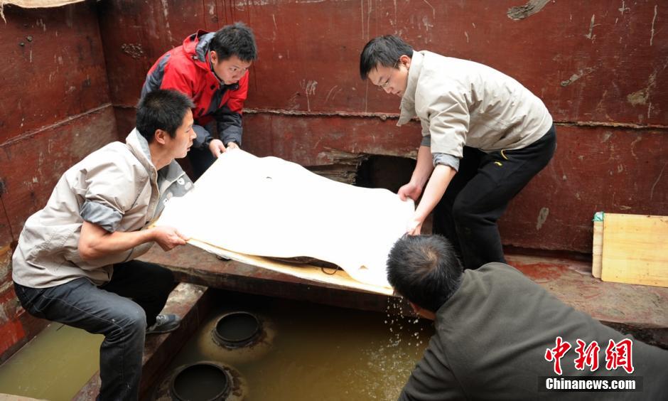 圖為考古現(xiàn)場(chǎng)工作人員小心翼翼將文物取出。