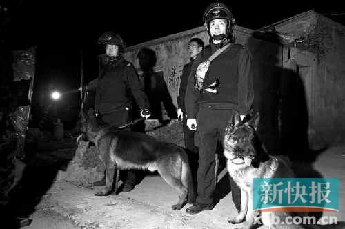 緝毒犬協助警方搜查毒品。