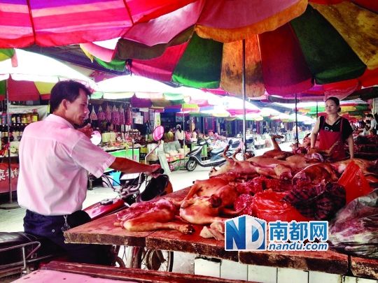  昨日，玉林垌口市場(chǎng)，一位市民在購(gòu)買狗肉。