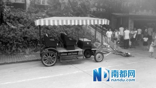 園方則稱解剖后發(fā)現馬死于心臟衰竭，“與累無關”。