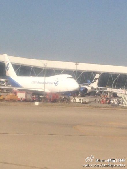 圖說：發(fā)生事故的飛機。圖片來源：新浪微博網(wǎng)友圖（請私信“新民晚報新民網(wǎng)”以奉稿酬）