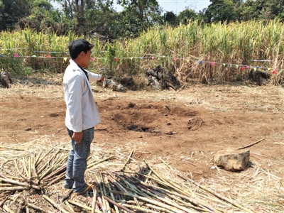 昨日，在大水桑樹村，村民向記者展示13日造成5死8傷的炸彈事件彈坑。