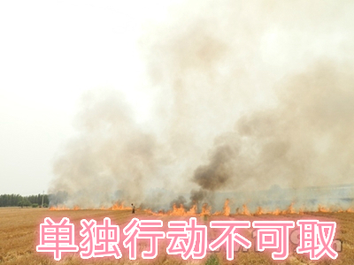 不要單獨一個人亂沖亂打：單獨行動被煙氣沖昏倒地，無人發(fā)覺被燒；