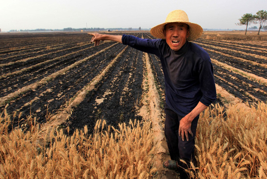 河南省滑縣、內(nèi)黃縣麥田著火，麥壟套種的花生、玉米苗也被烤焦，群眾損失慘重