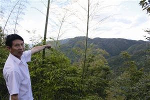 村民吳學田告訴記者，對面兩座山就是潘建友承包的部分山場 見習記者 邱一文 攝