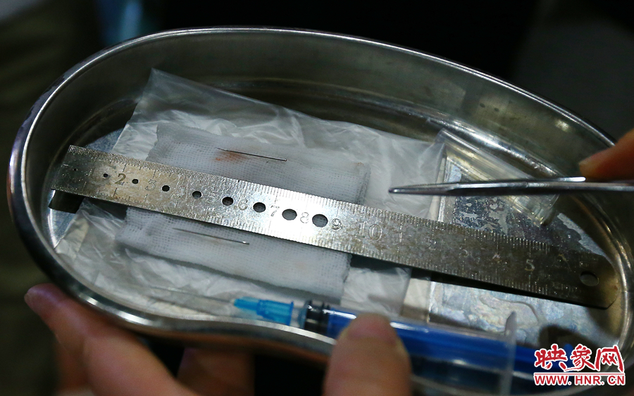 大龍顱內(nèi)取出的鋼針（上）和小龍顱內(nèi)的一樣（下），均為2.5厘米